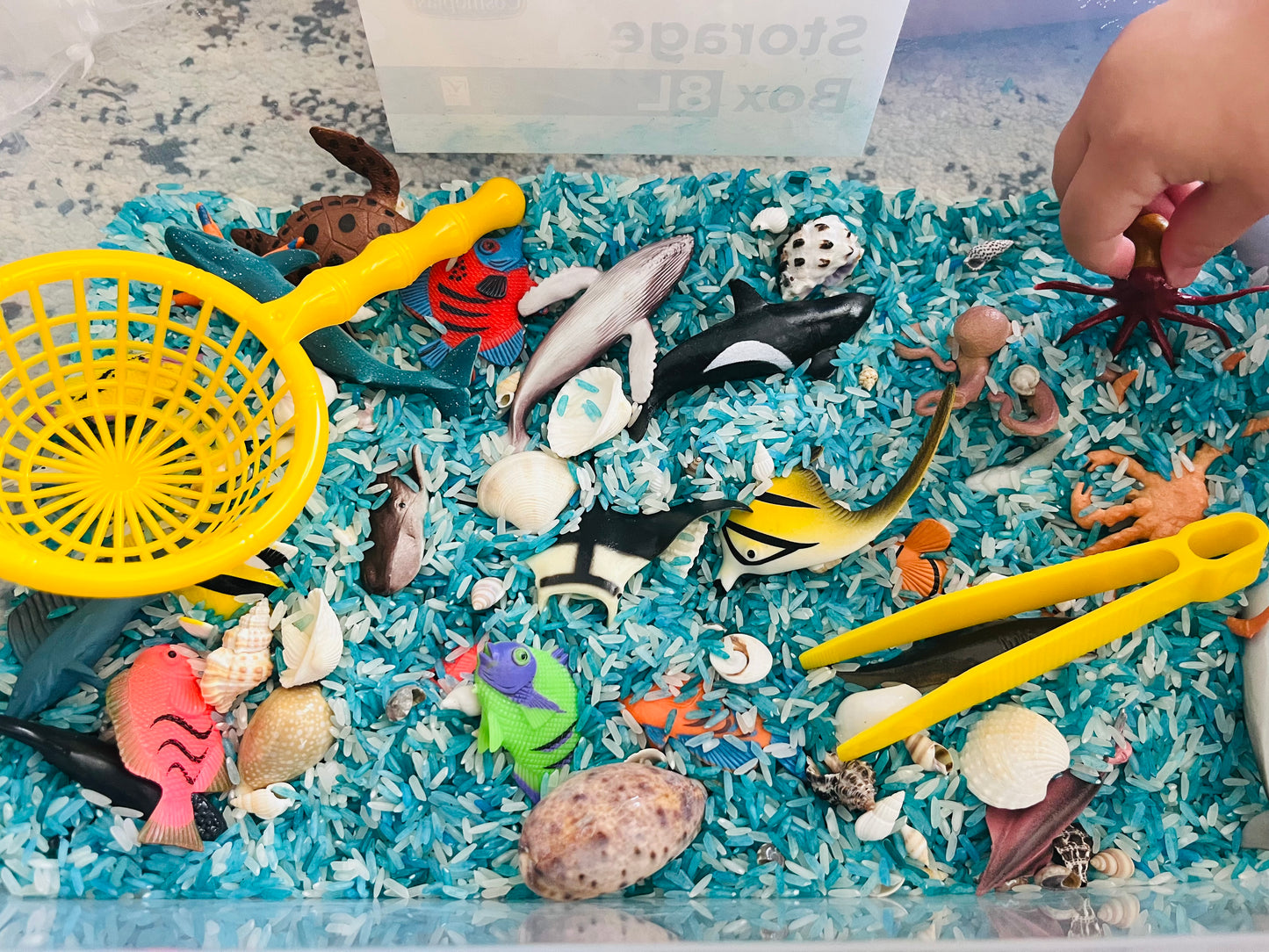 Under the Sea Sensory Kit