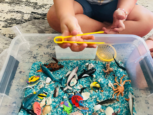 Under the Sea Sensory Kit