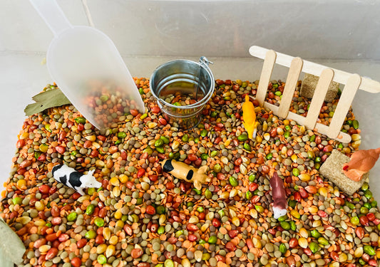 Farm Sensory kit